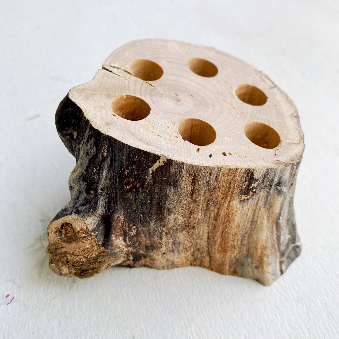 Brush holders