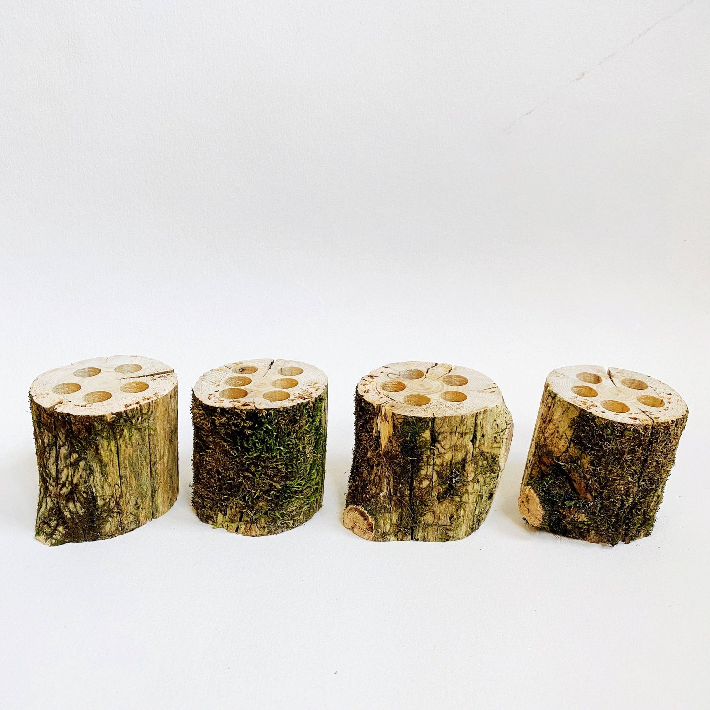 Brush holders