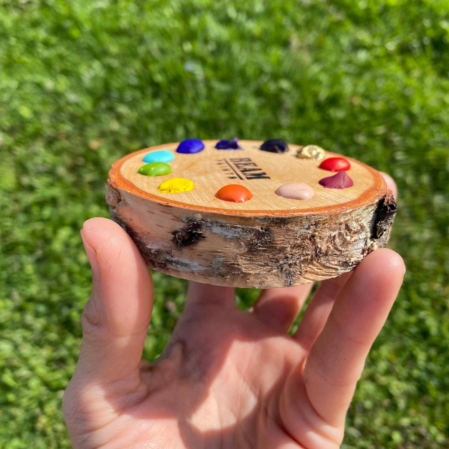 Inaatig Maple Spectrum 11