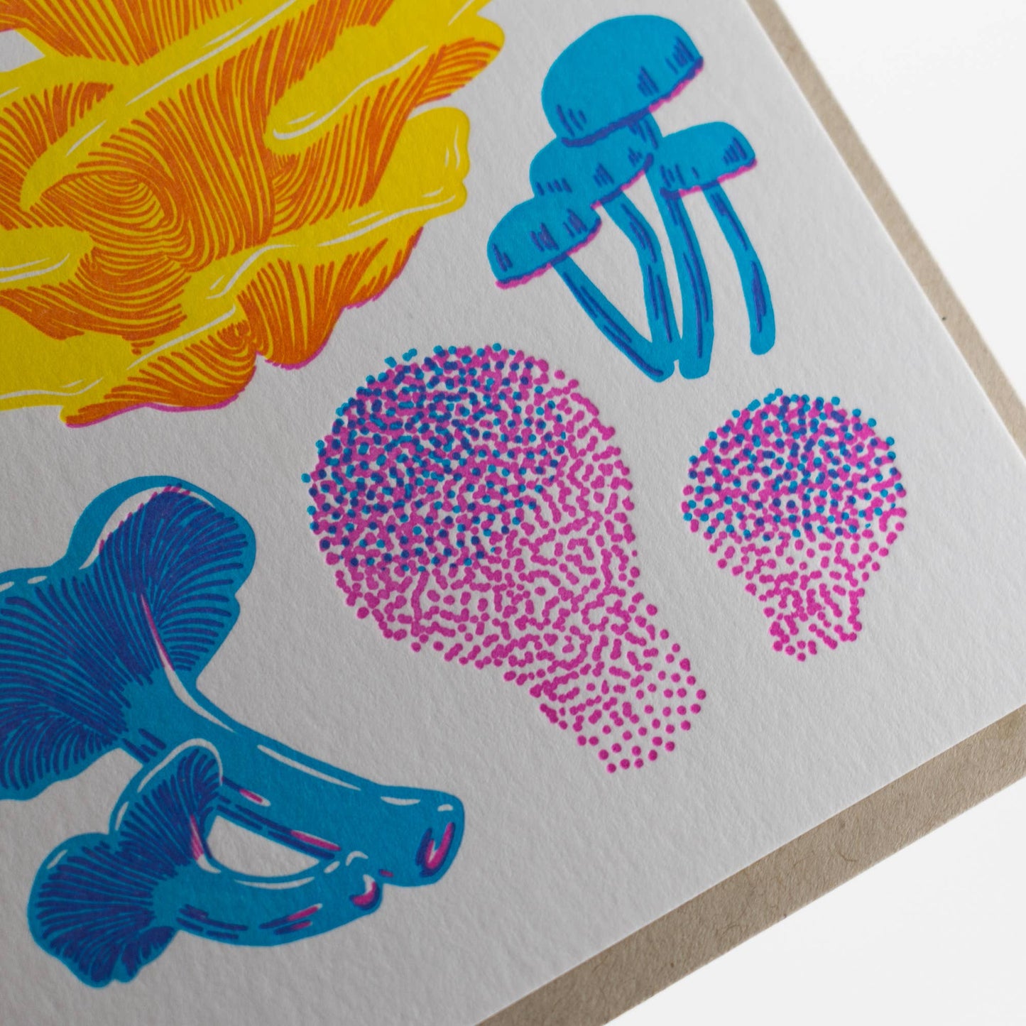 Vibrant Life Series - Fruiting Fungi Card: Single Card