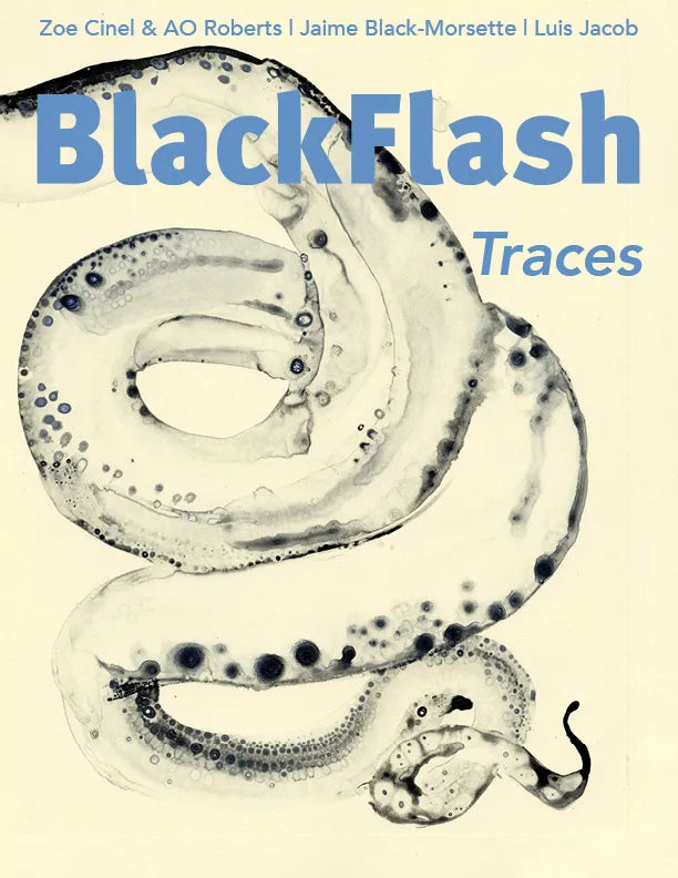 BlackFlash 42.1 - Traces