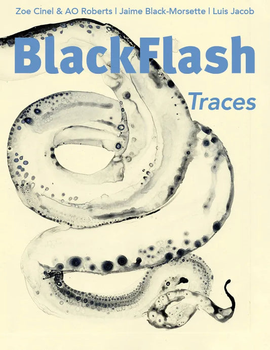 BlackFlash 42.1 - Traces