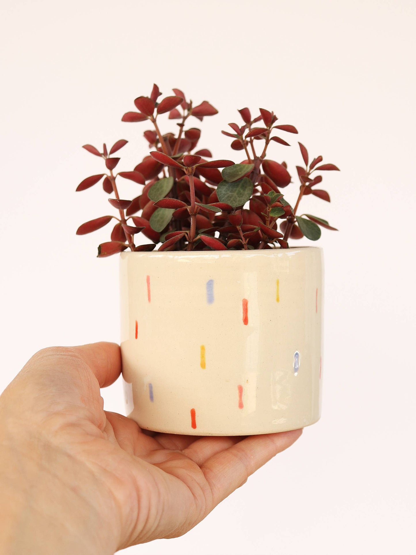 Small Ceramic Planter - Confetti