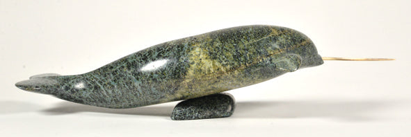 Narwhal