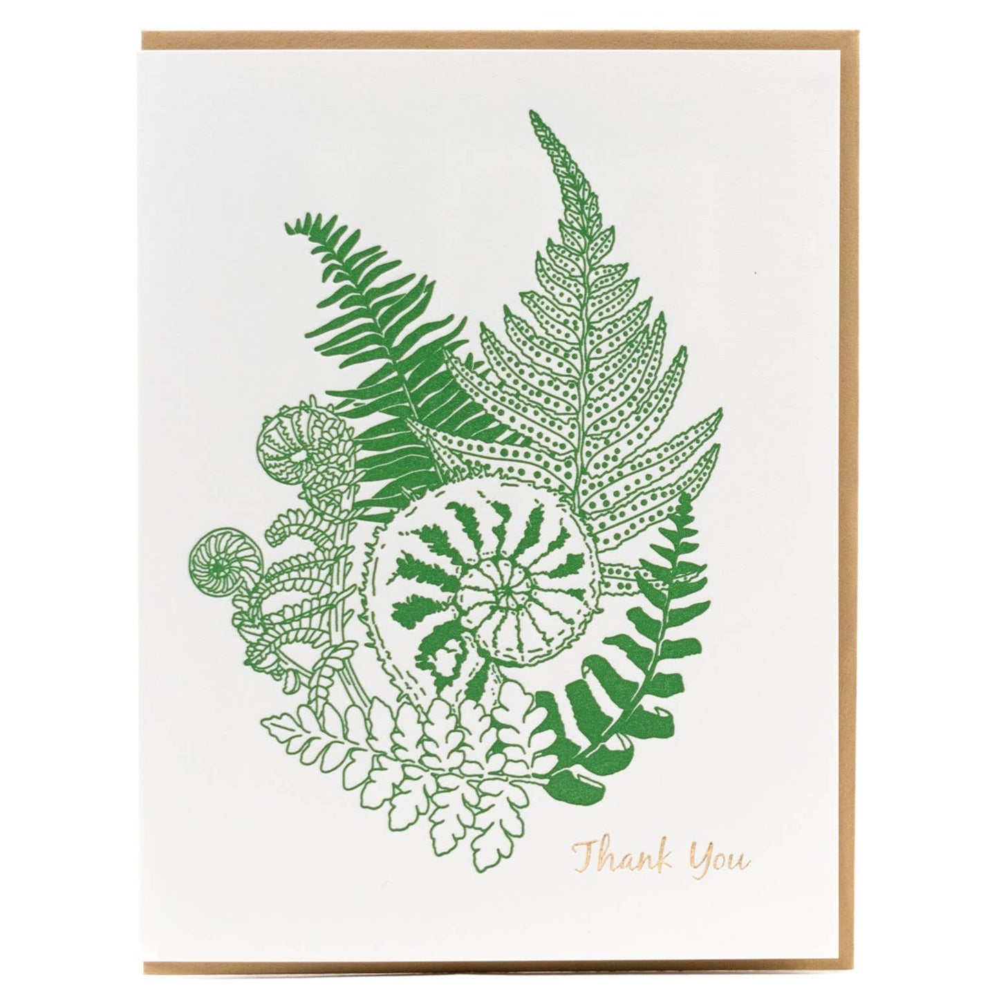 Thank you Forest Foraging Series - Fern: SIngle Card