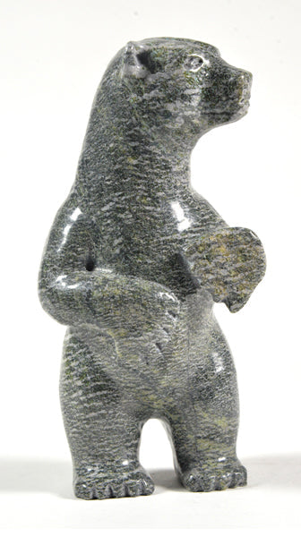 Standing Polar Bear