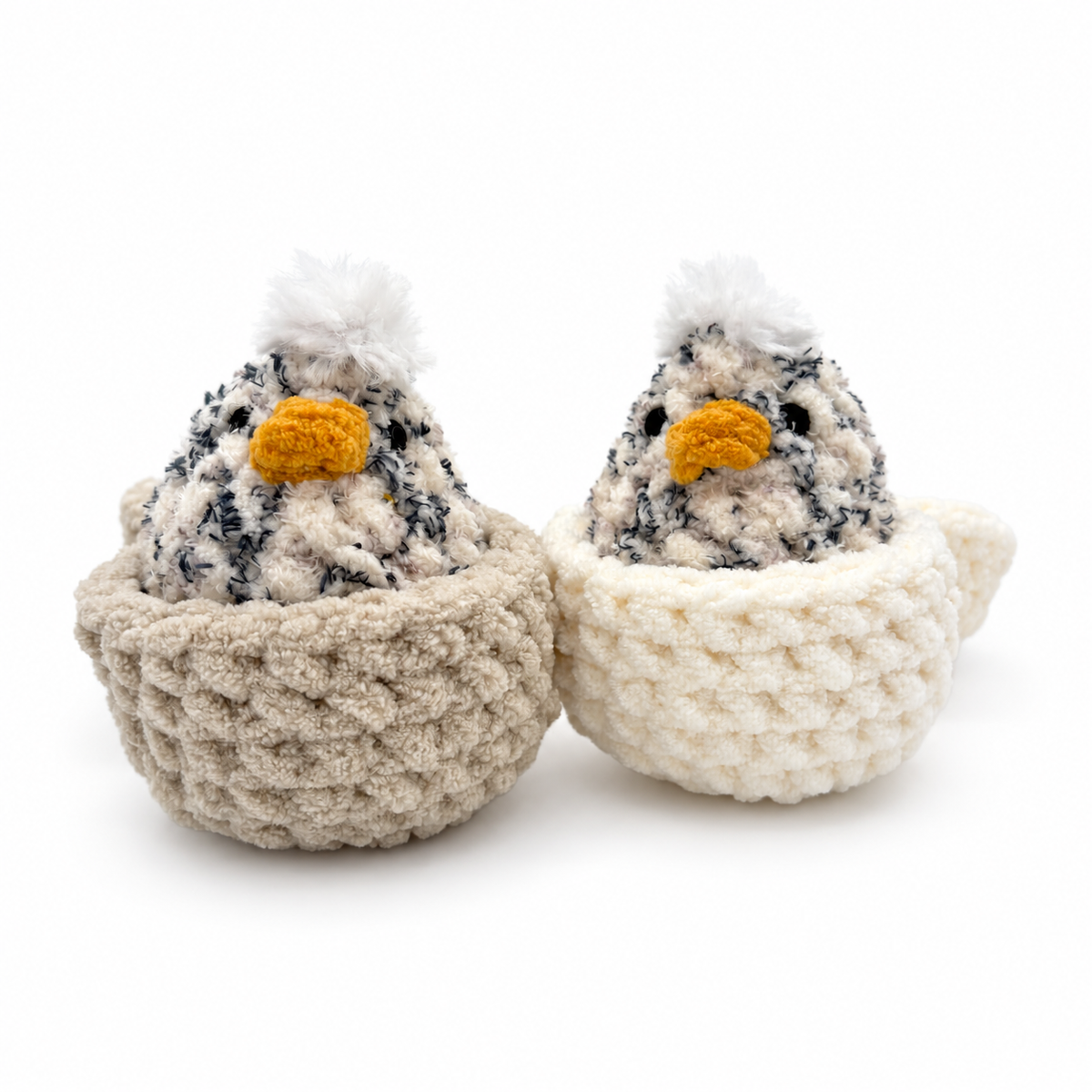 Hatching Chicks