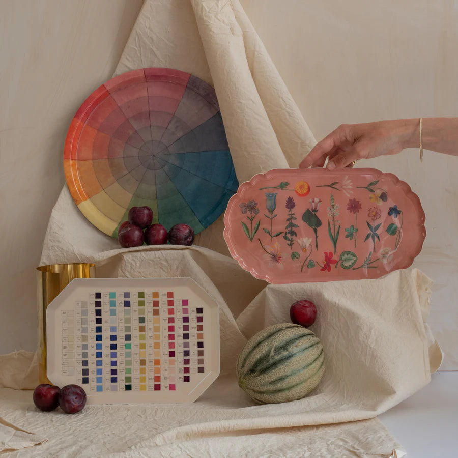Werner's Nomenclature of Colours Octagonal Enamel Tray