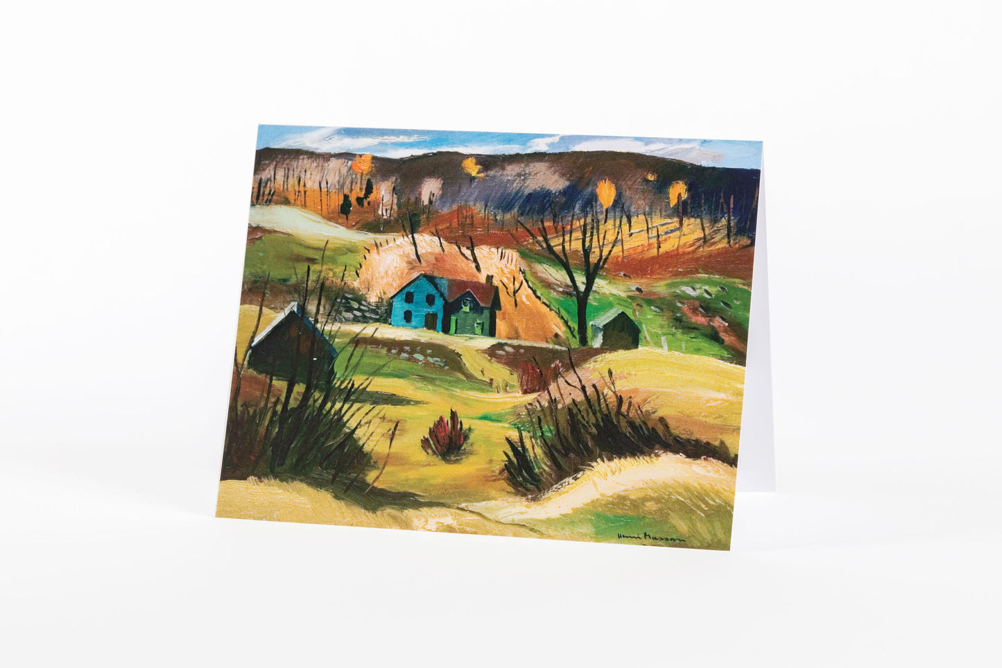 Views from the Blue House Greeting Card