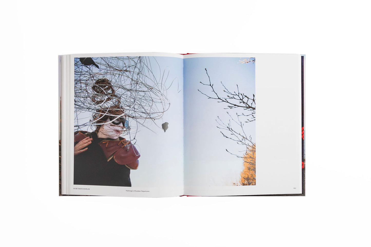 Meryl McMaster Bloodline