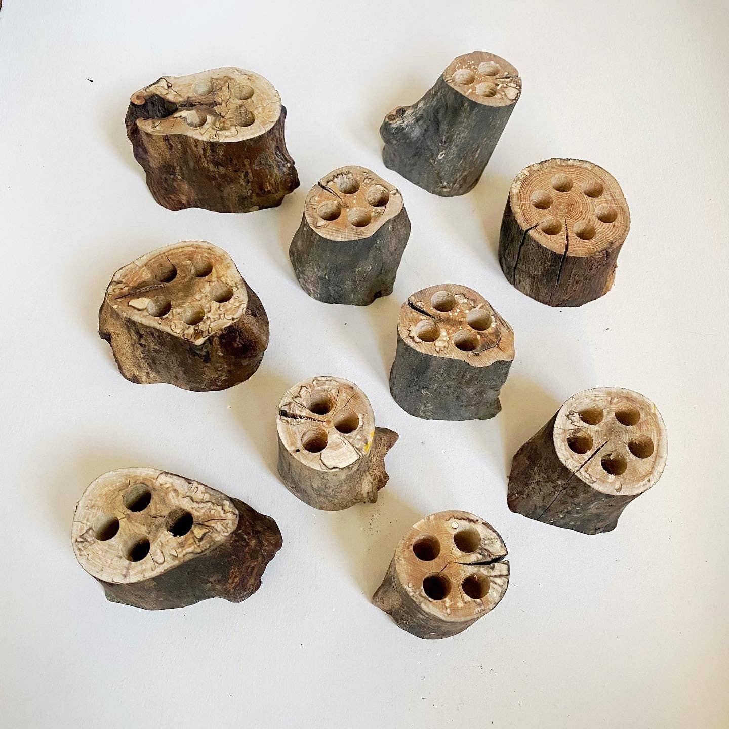 Brush holders