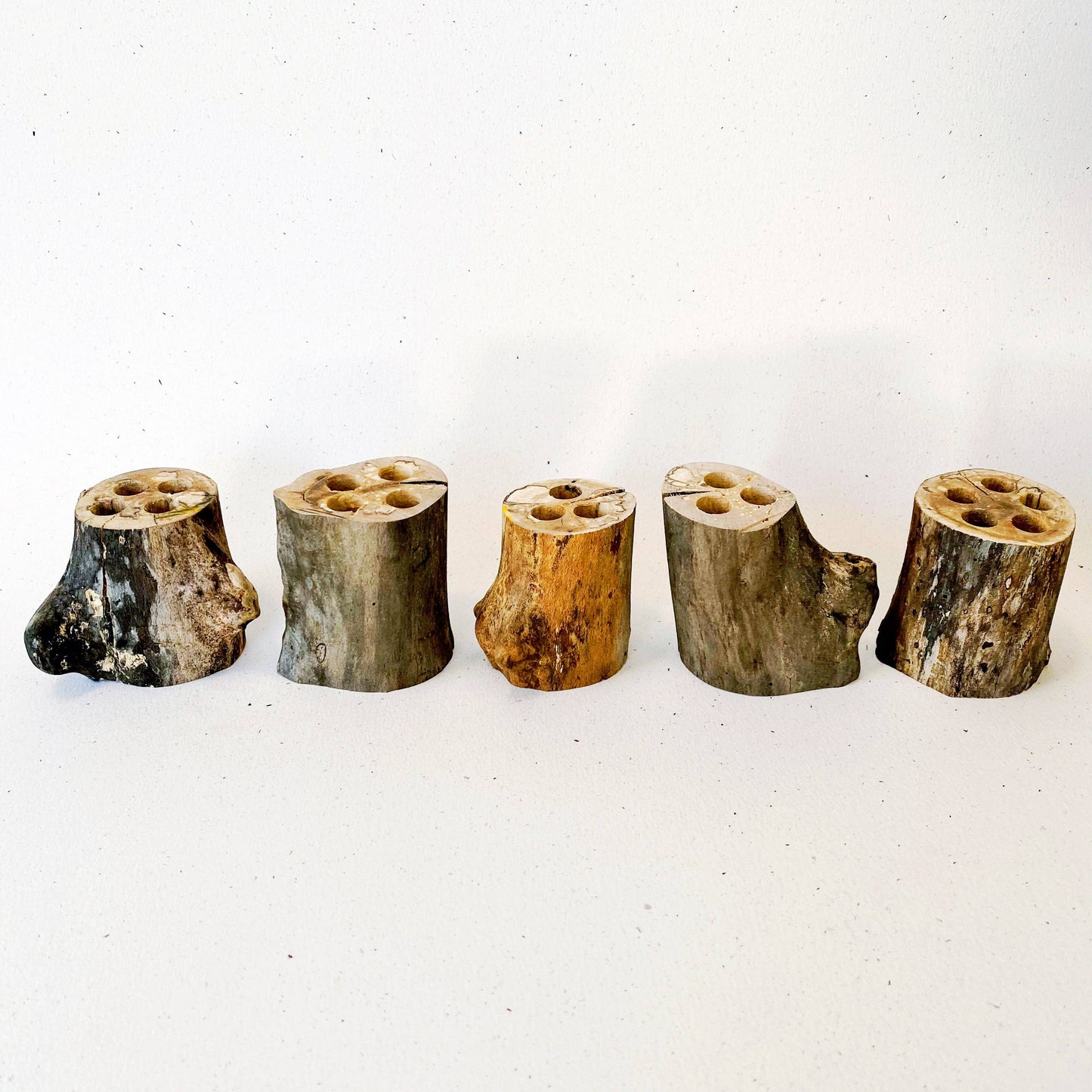 Brush holders