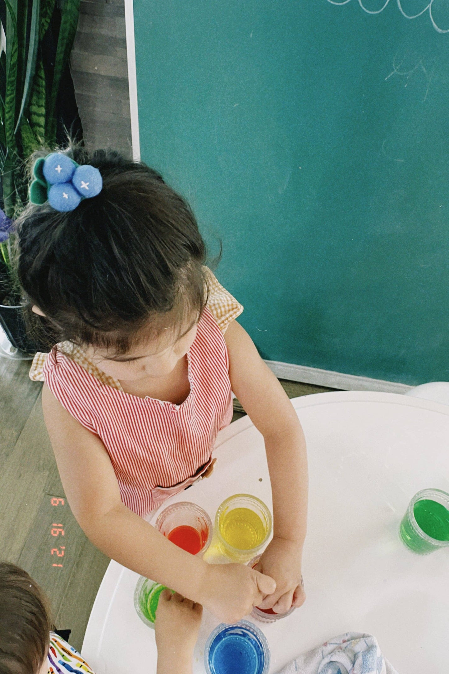Blueberry Hair Tie