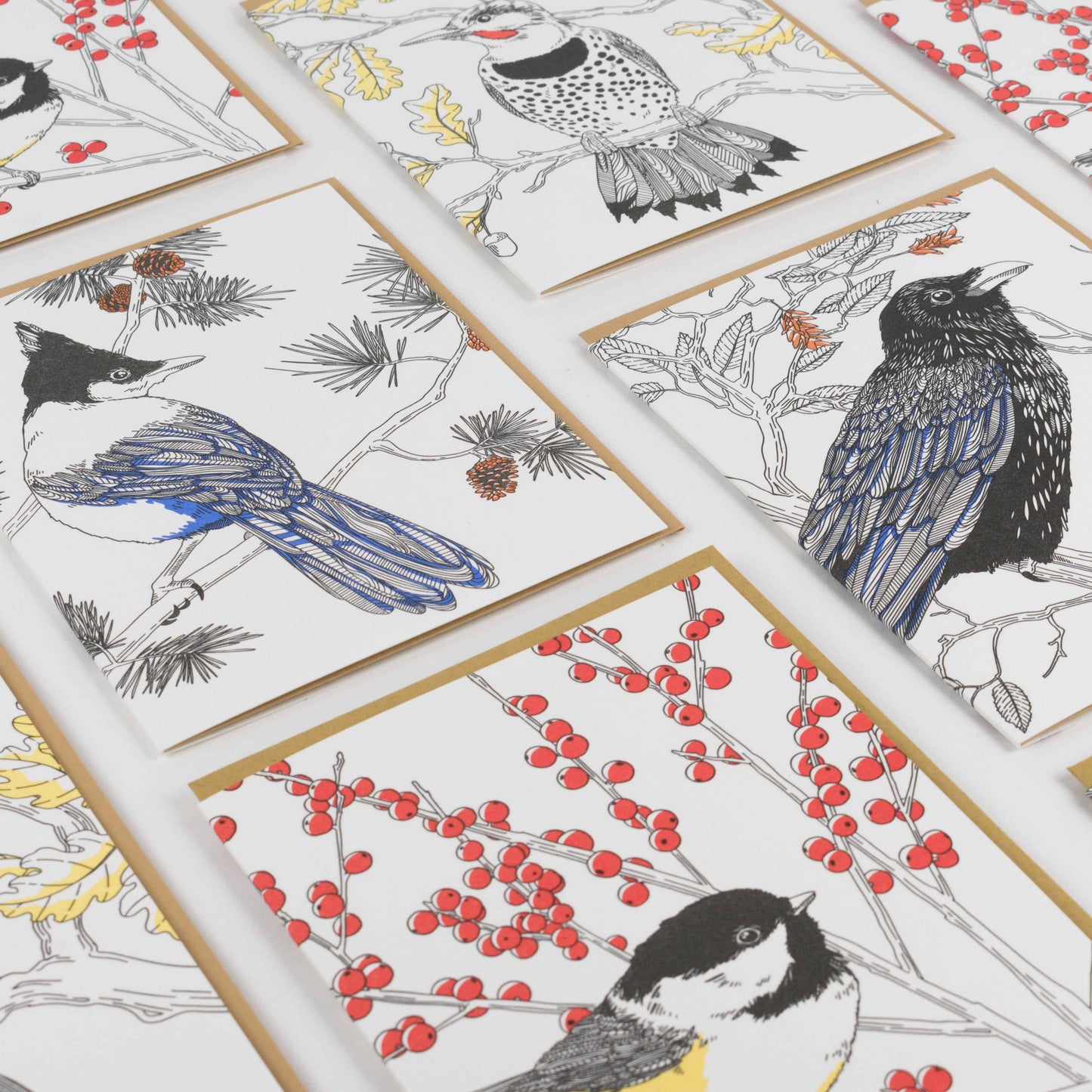 Black-capped Chickadee Card: Single Card