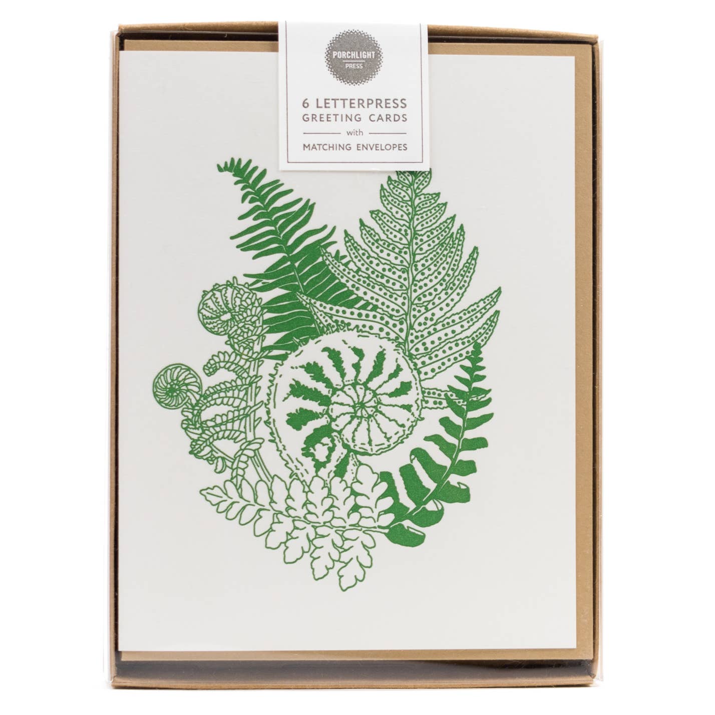 Forest Foraging Series - Fern No message: SIngle Card