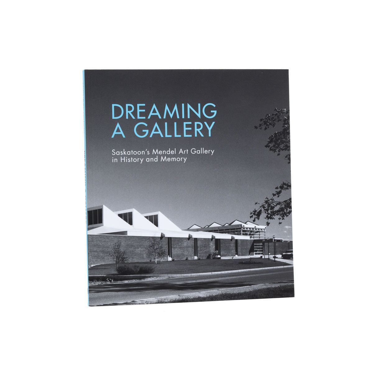 Dreaming a Gallery