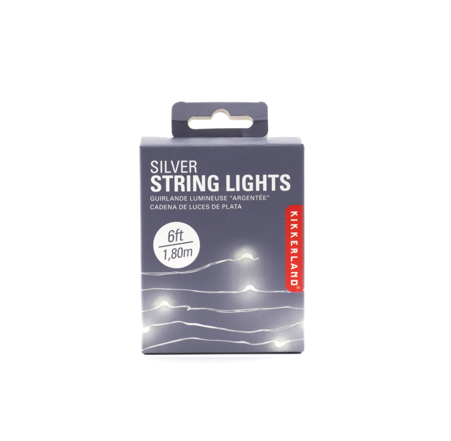 Silver Wire Lights