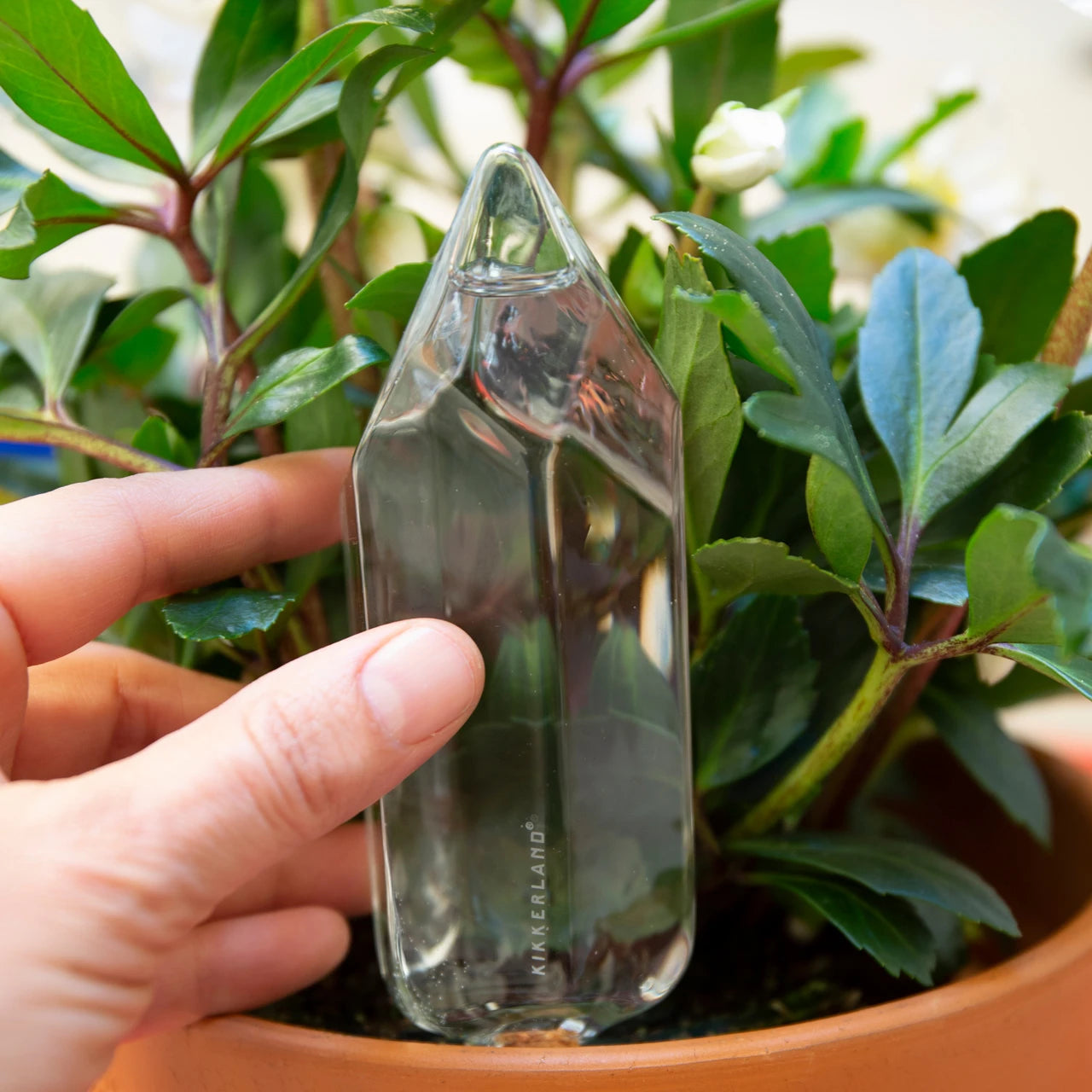 Water from a Crystal