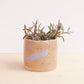 Small Ceramic Planter - Holiday