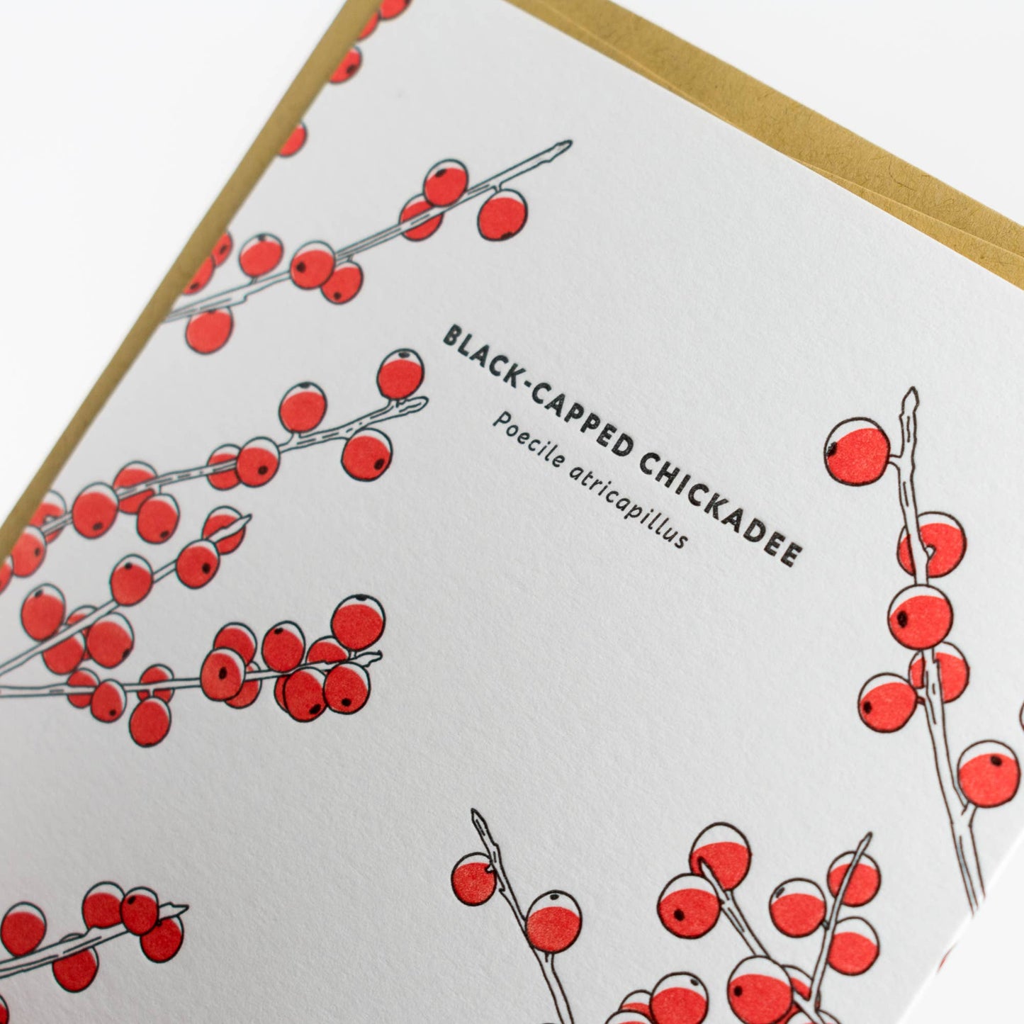 Black-capped Chickadee Card: Single Card