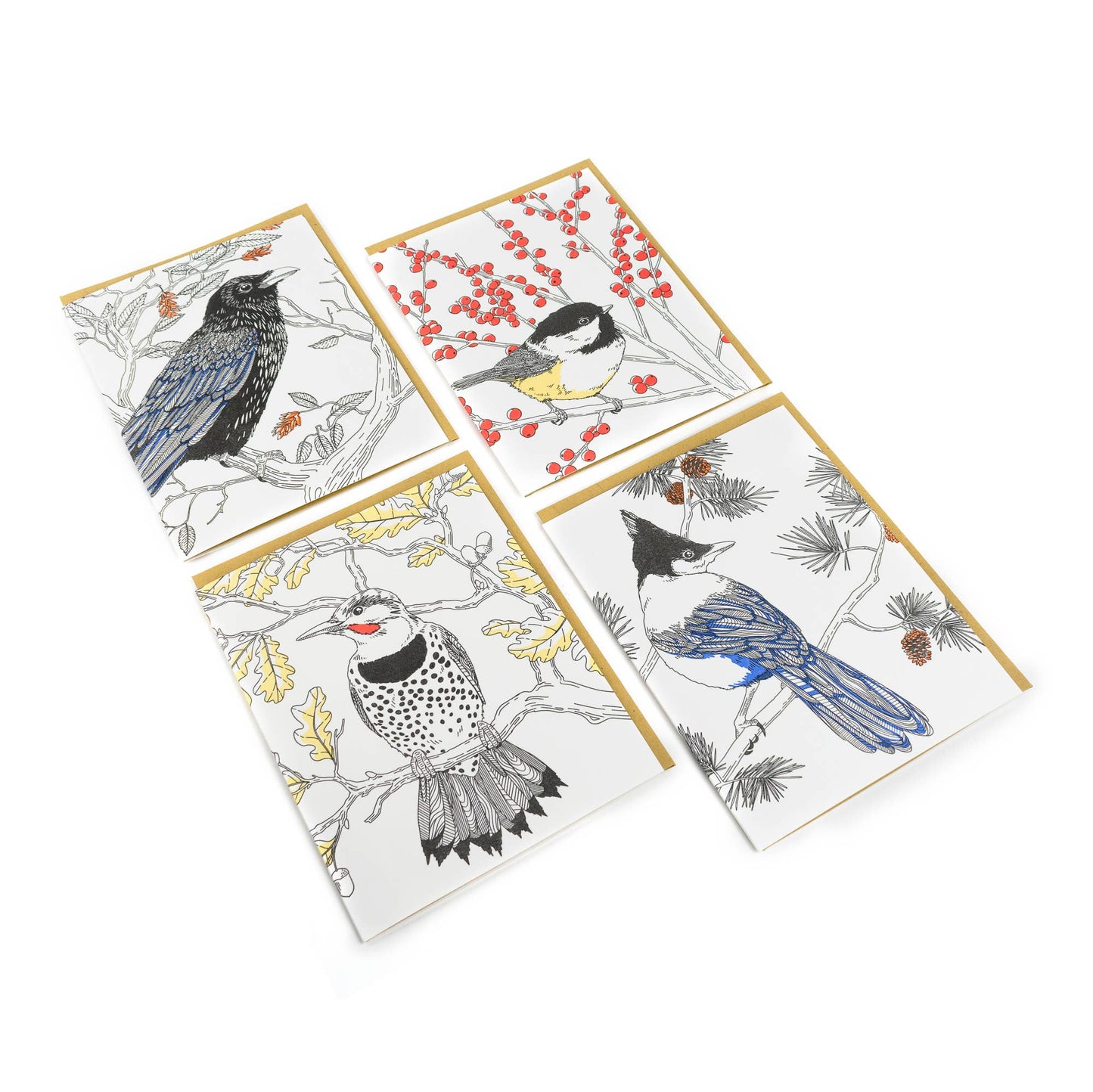 Black-capped Chickadee Card: Single Card