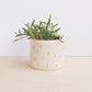 Small Ceramic Planter - Confetti