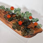 Cloudberry Patch