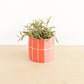 Small Ceramic Planter - Tile