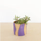 Indoor Ceramic Planter- Wave: Violet