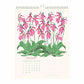 Flowers of Canada 2027 Botanical Wall Calendar