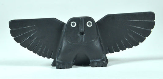 Owl Adamie Mathewsie