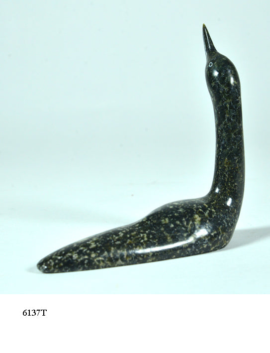 Loon Ningeosiaq Ashoona