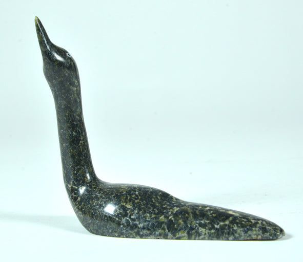 Loon Ningeosiaq Ashoona