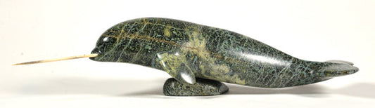 Narwhal