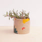 Small Ceramic Planter - Holiday