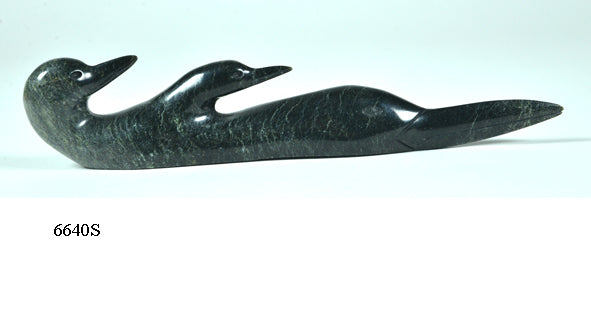 Loon Transformation Ningeosiaq Ashoona