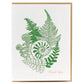 Thank you Forest Foraging Series - Fern: SIngle Card