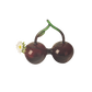 Creative Fruit Hydroponic Glass Vase - Artistic Home Décor: Pear 13.9*4.3cm