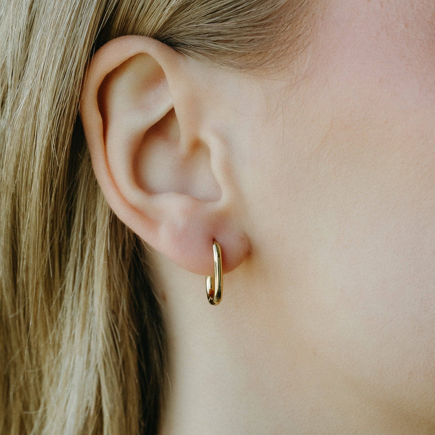 Oval Hoops