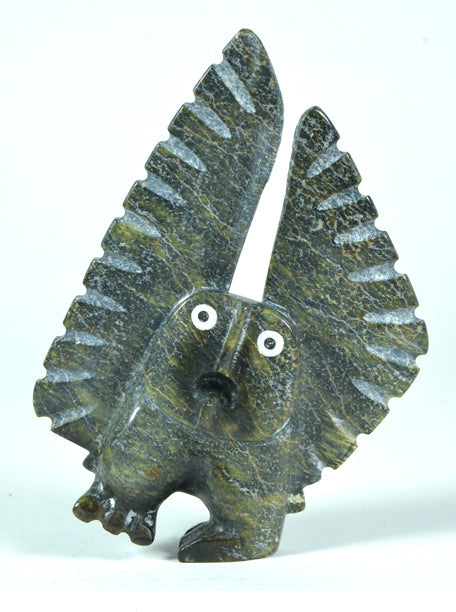 Owl Adamie Mathewsie