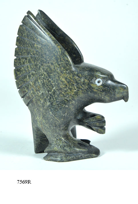 Eagle Kakee Ningeosiaq