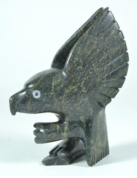 Eagle Kakee Ningeosiaq