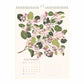 Flowers of Canada 2027 Botanical Wall Calendar