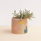 Small Ceramic Planter - Holiday