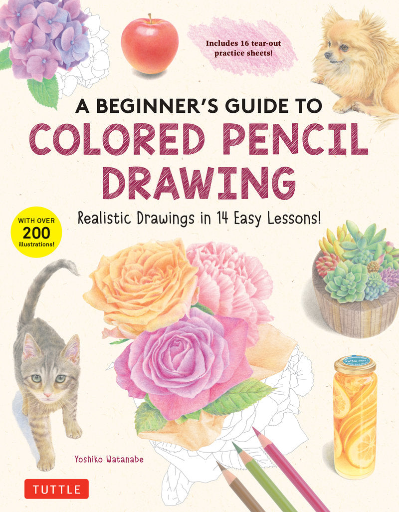 A Beginner's Guide TO Colored Pencil Drawing