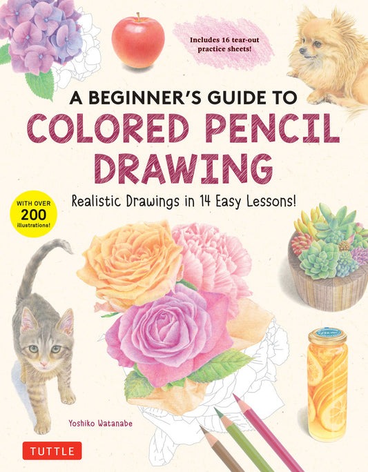 A Beginner's Guide TO Colored Pencil Drawing