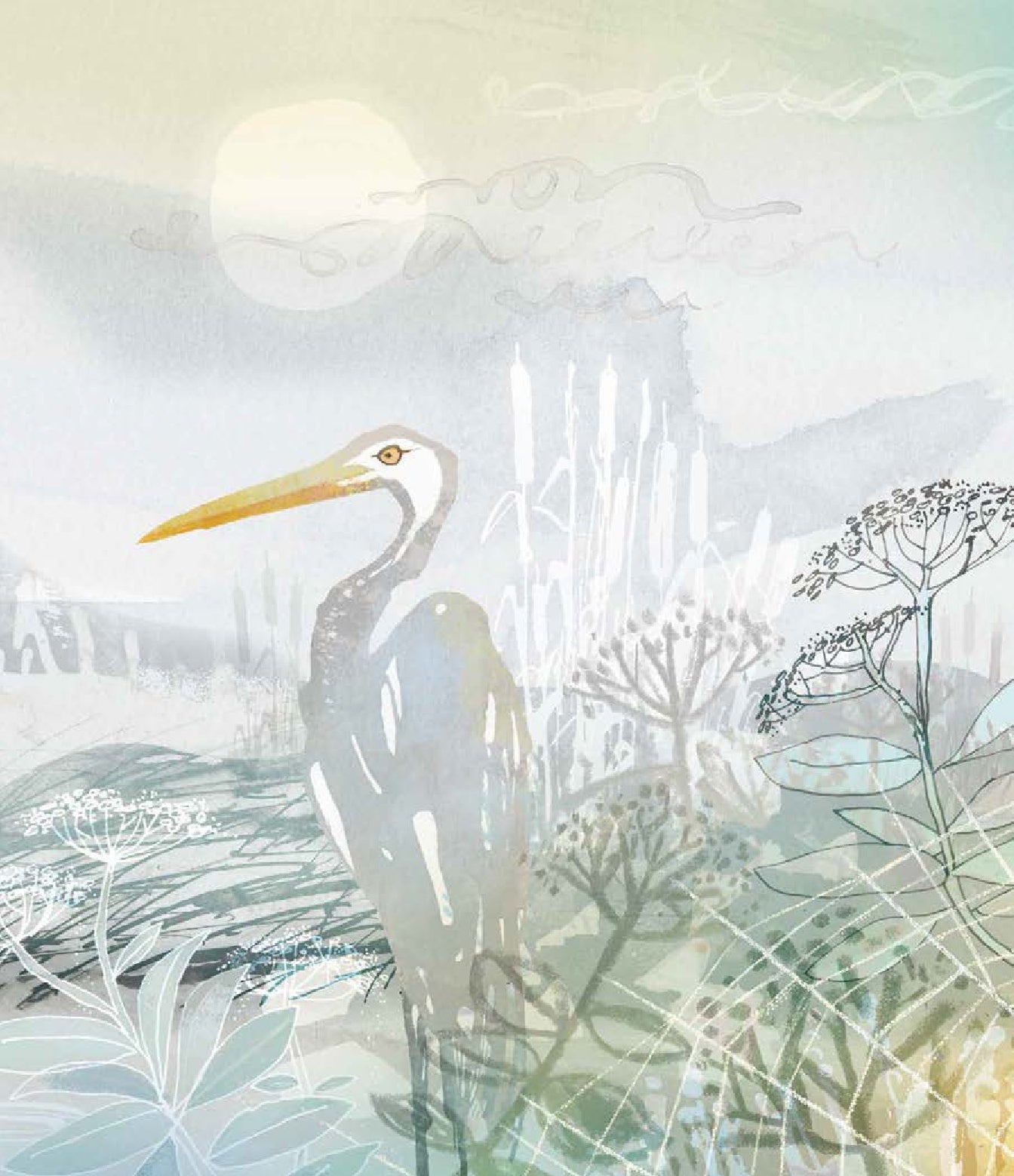 I Love you in Every Colour