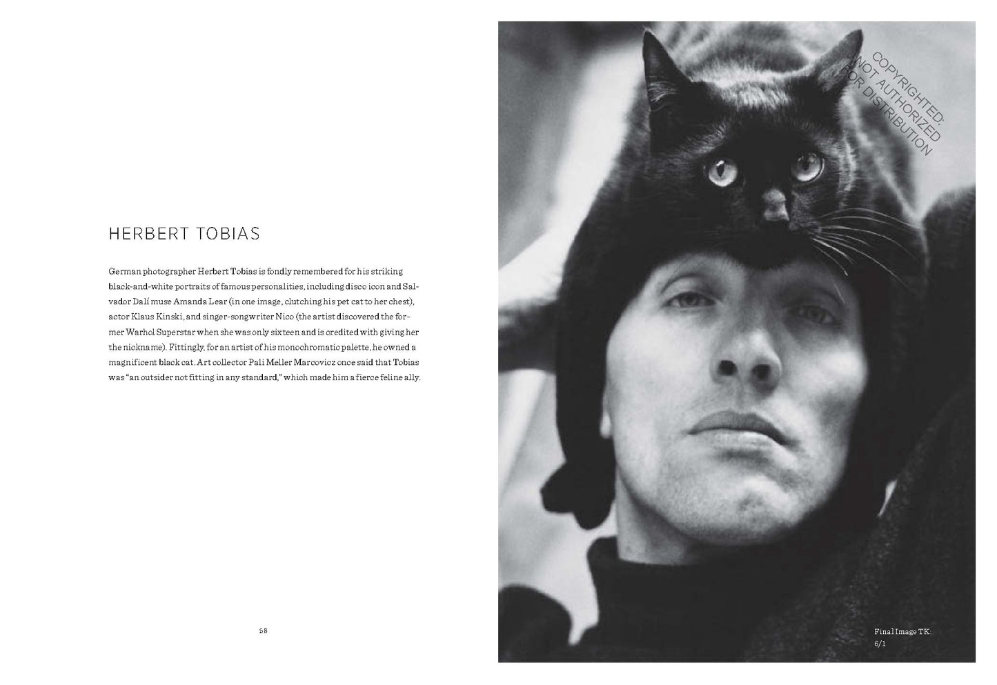 Artists and their Cats