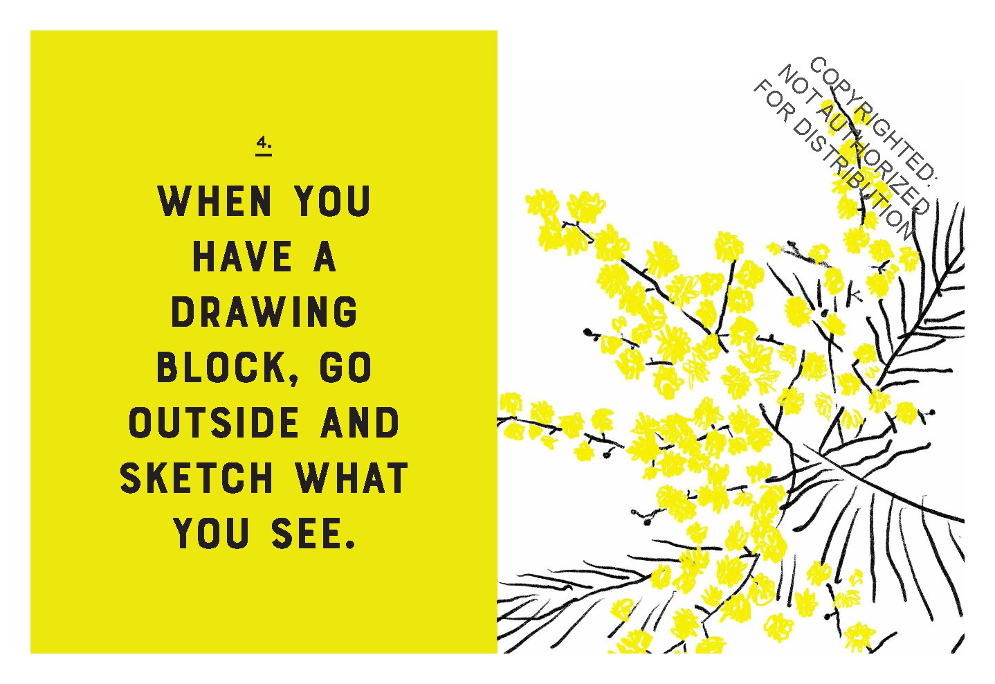 How to Rule at Drawing