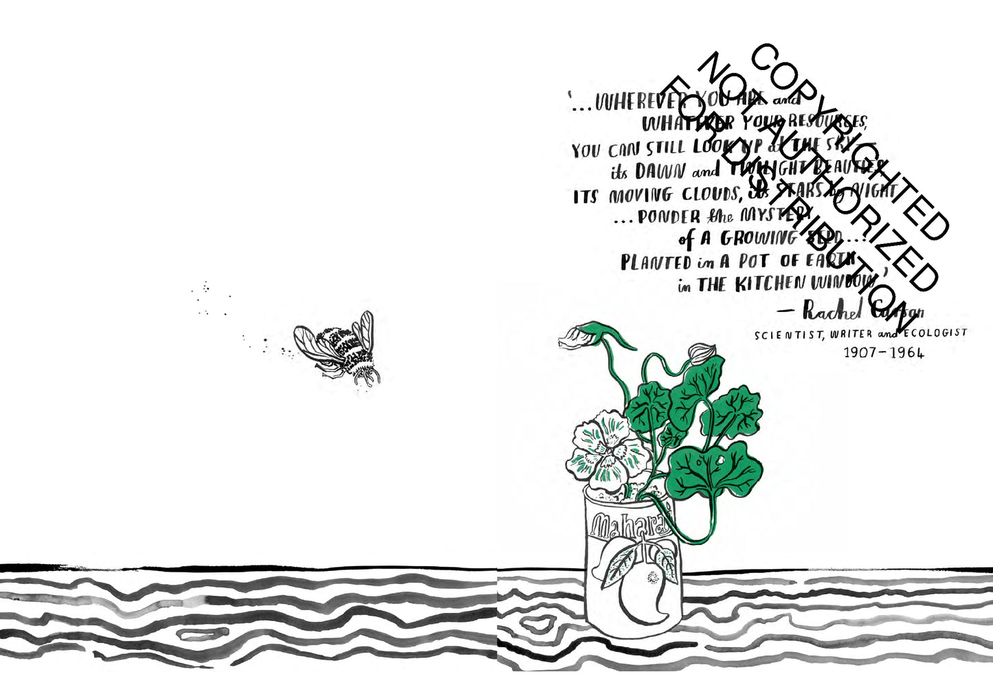Hello Nature Activity Book